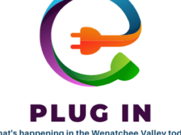Plug In