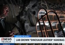 Lab grown “dinosaur leather” handbag