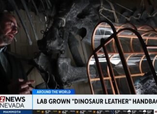 Lab grown “dinosaur leather” handbag