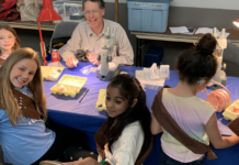 The 61st annual gem, mineral, fossil and jewelry show will be in Hamilton