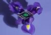 Adam Neeley’s High Jewelry Collection Steps Into Salvador Dalí’s Garden