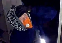 (VIDEO) Look Familiar? Police are Seeking Leads in Late-Night Jewelry Burglary at a Home Near Sequoia Park