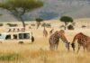 Tourvest Destination Management Launches Your Africa For Bespoke Travel Experiences
