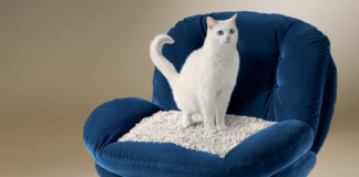 CATSAN Turns Fashion Items into ‘Luxury Litter Trays’
