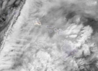 Friday severe weather updates: Flash flood warning, high wind warning canceled