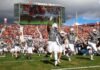 Videos Show Skydiver Slamming Into Stadium Scoreboard as Crowd Watches