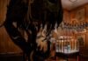Tyrannosaurus rex fossils used to create one-of-a-kind ‘dinosaur handbag’