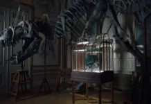 T-Rex leather handbag set for ₹5 crore auction