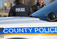 3 arrested in Catonsville jewelry theft, robbery spree, police say