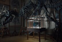 Scientists create world’s first ‘T-Rex leather’ handbag with $600k starting price