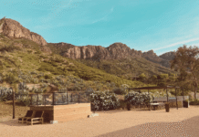 The Gentlemen’s Trip: A Field Guide