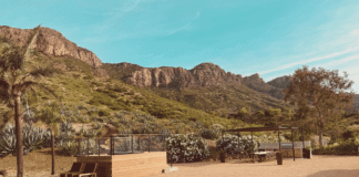 The Gentlemen’s Trip: A Field Guide