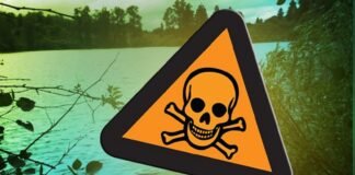 Four Kansas lakes under watches, warnings for toxic algae