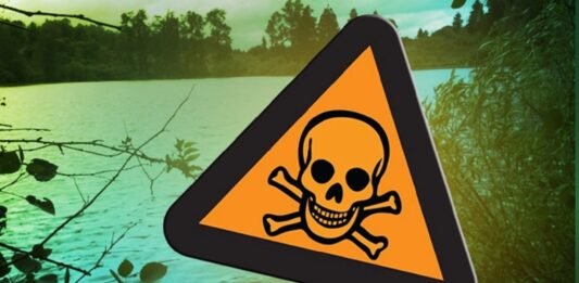 Four Kansas lakes under watches, warnings for toxic algae