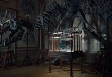 Fashion Goes Fossil-Futurist as Lab-Grown T-Rex Leather Handbag Stomps Onto Luxury Scene
