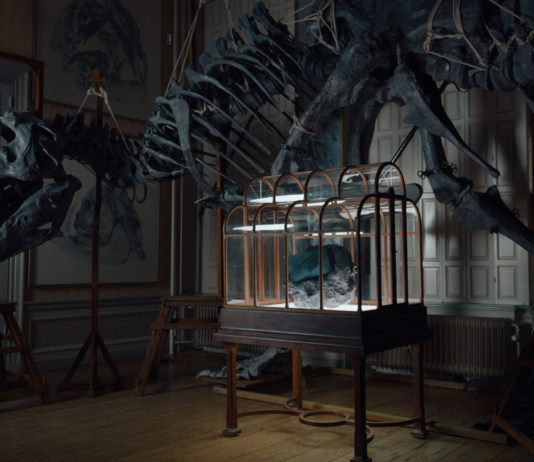 Fashion Goes Fossil-Futurist as Lab-Grown T-Rex Leather Handbag Stomps Onto Luxury Scene