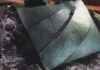 Scientists create handbag from T. rex DNA using ancient protein fragments