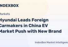 Hyundai Leads Foreign Carmakers in China EV Market Push with New Brand