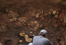 Ancient tomb discovered in Panama contains gold, jewelry, and pre-Hispanic skeletons
