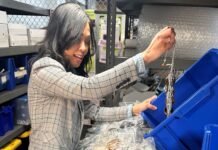 Seattle woman touts urban mining, turning old jewelry into precious metals for electronics