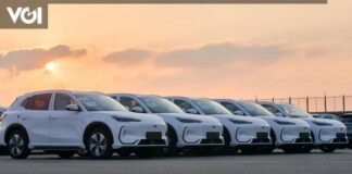 Japanese Dominance Collapses, Chinese Cars Now Dominate the Australian Market