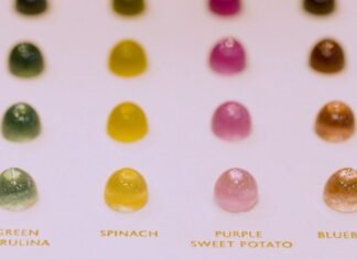 Designer creates jewelry from fruit