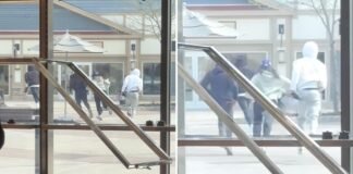 4 thieves steal Gucci handbags worth $30K in daylight smash-and-grab at NY shopping outlet