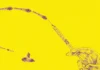 Twenty seconds to approve a military strike; 1.2 seconds to deny a health insurance claim. The human is in the AI loop. Humanity is not