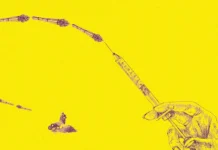 Twenty seconds to approve a military strike; 1.2 seconds to deny a health insurance claim. The human is in the AI loop. Humanity is not