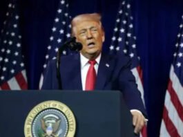 Senators in letter to Donald Trump: Ban Chinese automakers from building cars in the US; stop entry of cars assembled in Canada and …