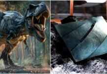 Rs 5 Crore For Dinosaur Bag?: Luxury Handbag Created From Millions of Years Old T-Rex Collagen