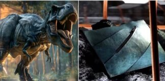 Rs 5 Crore For Dinosaur Bag?: Luxury Handbag Created From Millions of Years Old T-Rex Collagen