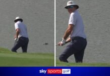 PGA Tour: Alligator watches from close range shot from ridge of water!