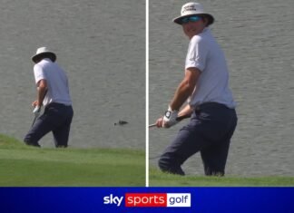 PGA Tour: Alligator watches from close range shot from ridge of water!