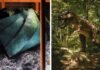 World’s first T-rex leather handbag to be auctioned for over Rs 5 crore – Here’s how it was made