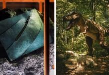 World’s first T-rex leather handbag to be auctioned for over Rs 5 crore – Here’s how it was made