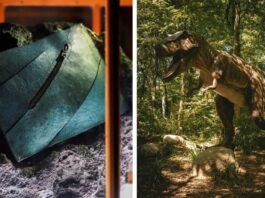 World’s first T-rex leather handbag to be auctioned for over Rs 5 crore – Here’s how it was made