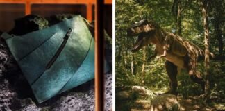 World’s first T-rex leather handbag to be auctioned for over Rs 5 crore – Here’s how it was made