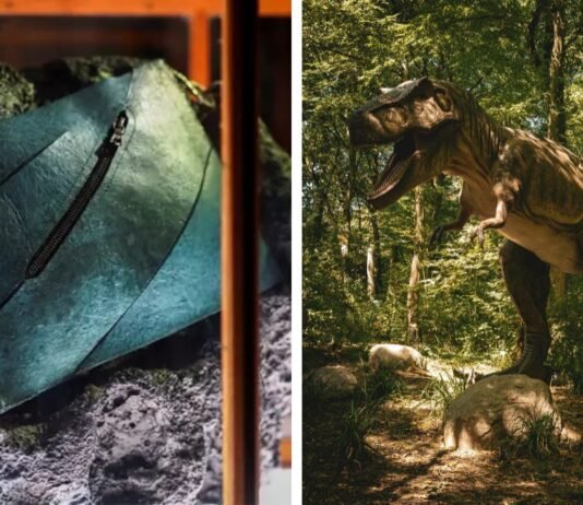 World’s first T-rex leather handbag to be auctioned for over Rs 5 crore – Here’s how it was made