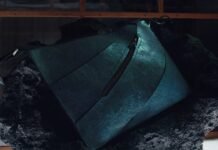 The World’s First T-Rex Leather Handbag Will Cost You $663,000