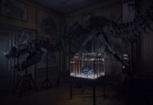 World’s first T-Rex leather product unveiled – a luxury handbag designed by Enfin Levé