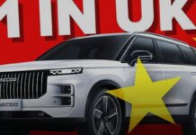 Which car brands are most at risk of the Chinese?