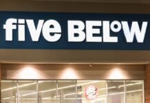 Five Below’s $5 Pet Jewelry Is Giving Dogs Main Character Energy on Walks
