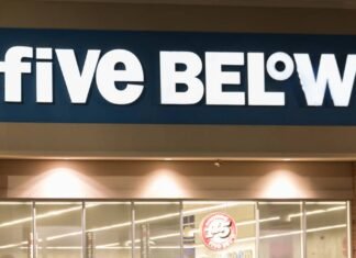 Five Below’s $5 Pet Jewelry Is Giving Dogs Main Character Energy on Walks