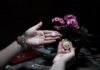 Top 7 Fantasy Inspired Jewelry Designs to Discover Best Fantasy Inspired Jewelry with Fairy Rings www.thehypemagazine.com – The Hype Magazine The Hype Magazine – News From Hip Hop To Hollywood!
