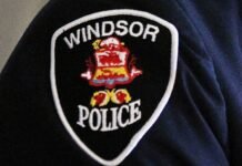 Windsor police warn of distraction thefts