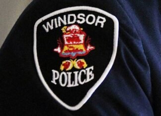 Windsor police warn of distraction thefts