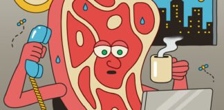 To A.I. Executives, We’re All Just ‘Meat Computers’