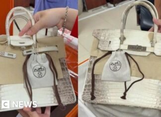 Jailed Vietnamese tycoon’s Birkin bag sells for nearly £400K