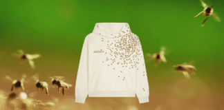 The Bee Team